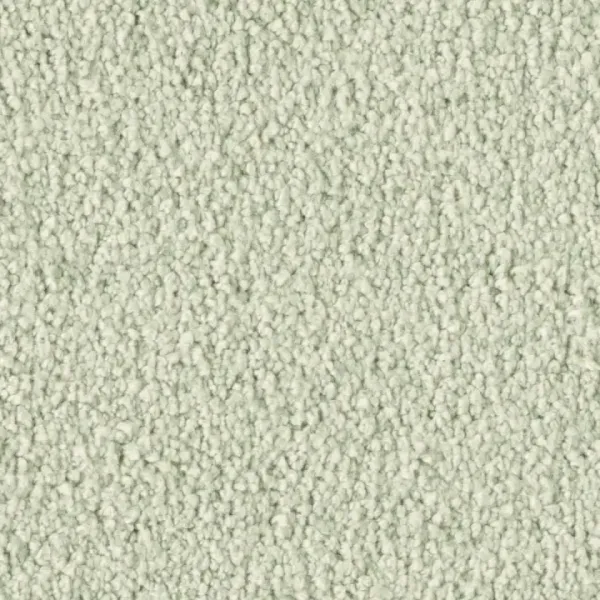 Vorwerk Violetta 6C95 – Draufsicht Teppichboden Farbe 6C95 ohne Badge